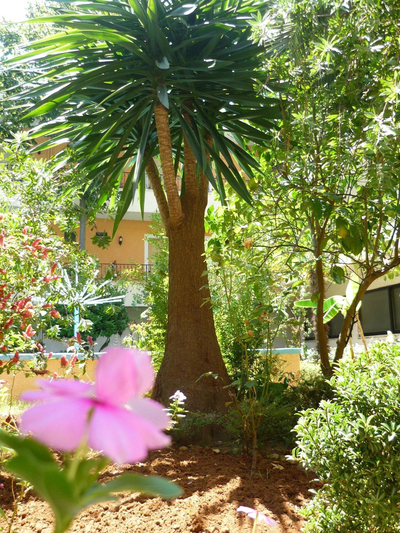 Hotel Alkionis Moraitika Dış mekan fotoğraf